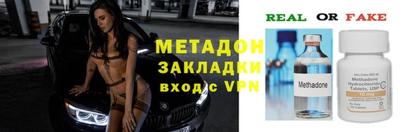 прущие грибы Иннополис