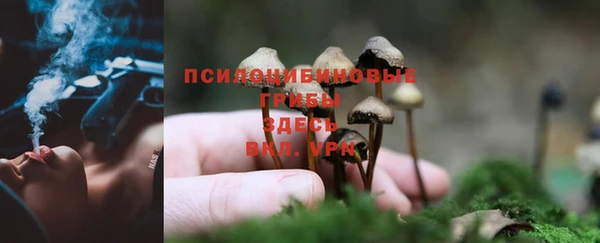 ALPHA PVP Зерноград