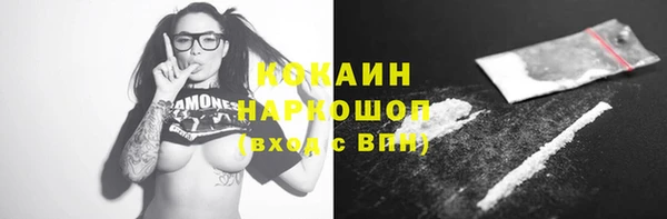 прущие грибы Иннополис