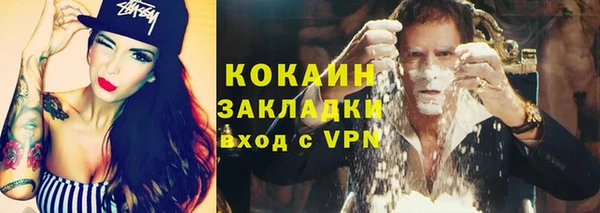 прущие грибы Иннополис