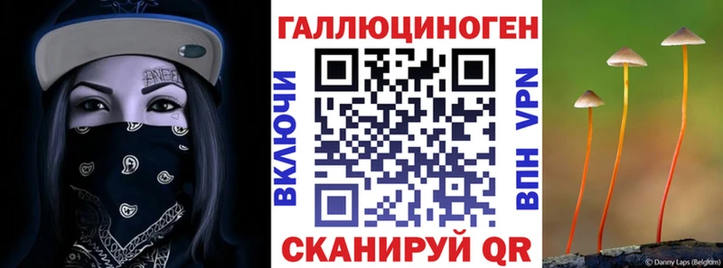 купить закладку  Спасск-Дальний  Псилоцибиновые грибы прущие грибы 